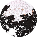 Black White